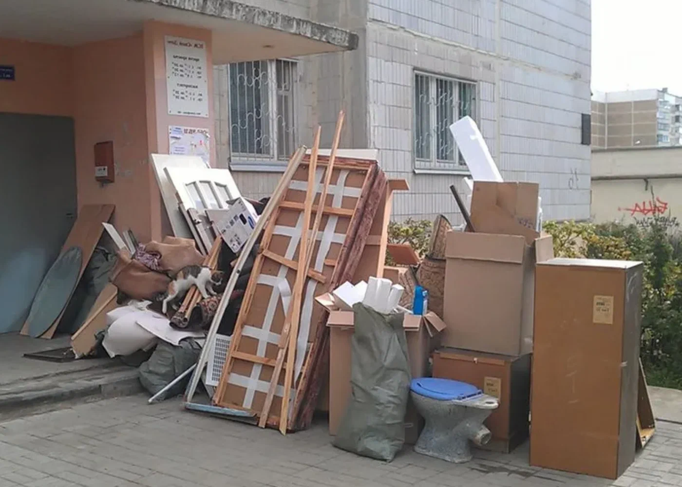 Профессиональный вывоз мусора из квартиры в Вятских Поляне в октябре