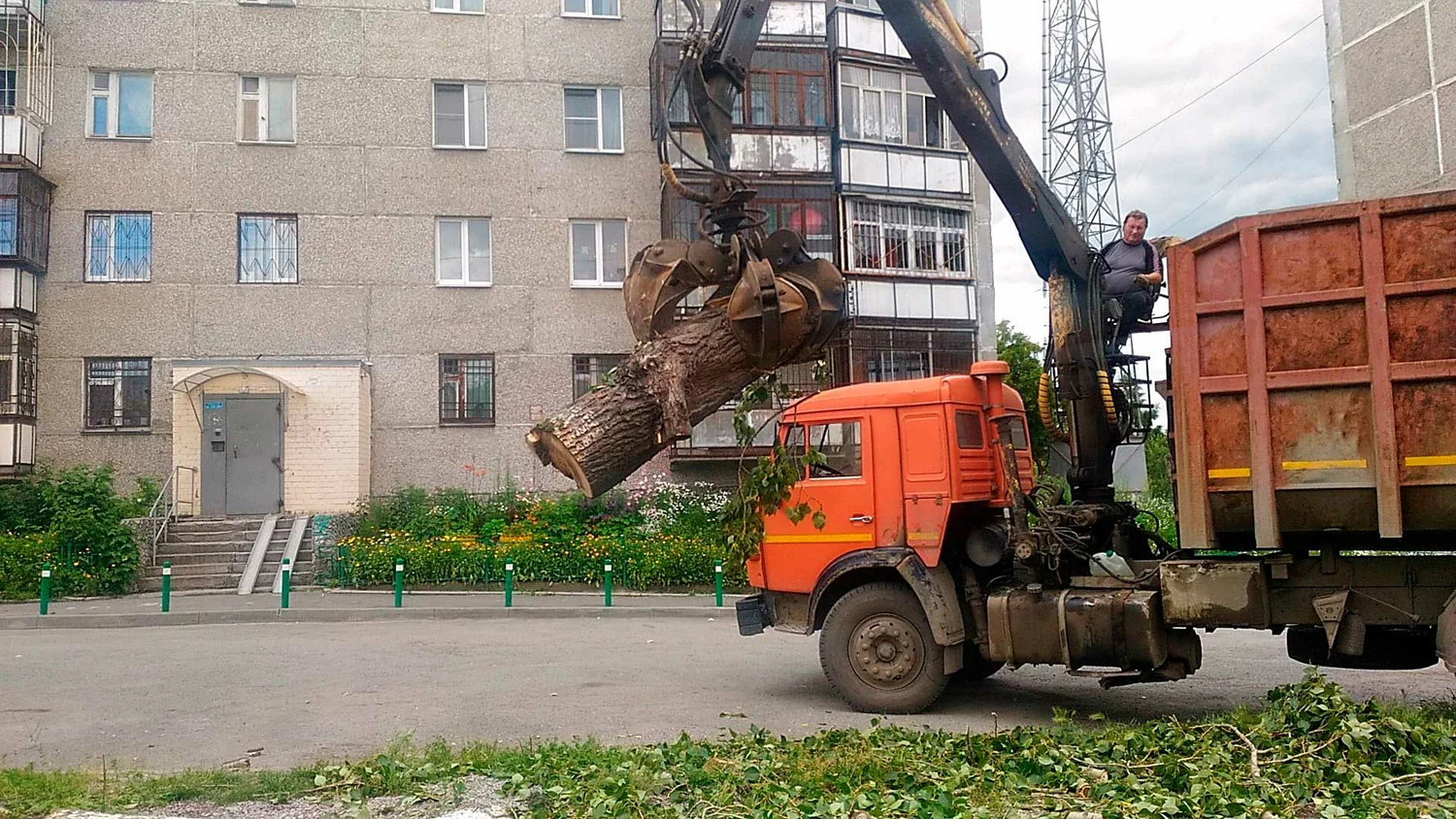 Вывоз спиленных веток и деревьев в Вятских Поляне от ПроМусор: порубочные остатки, утилизация, цена от 2944 руб