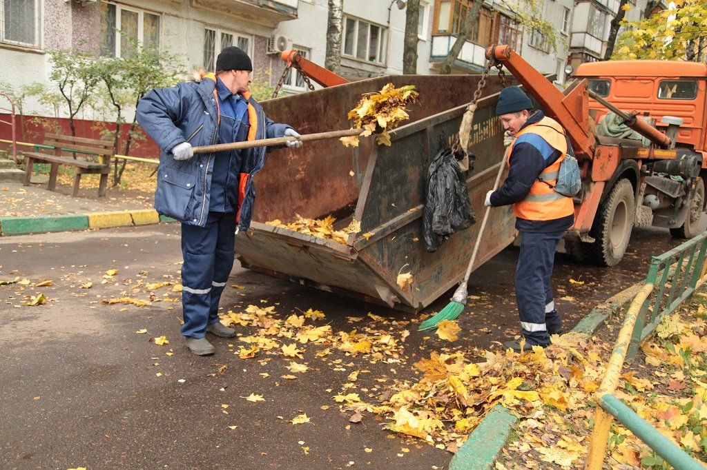 Вывоз опавшей листвы и растительного мусора в Вятских Поляне от ПроМусор – цена от 4568 руб., быстрая уборка и утилизация